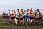 Senior mens Northern Cross Country  Championships, Pontefract. Photo: David T. Hewitson/Sports for All Pics